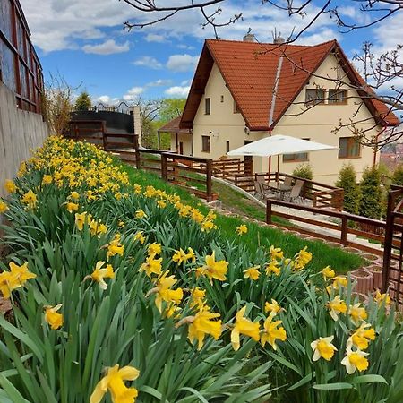 Apartament Matei Брашов Экстерьер фото