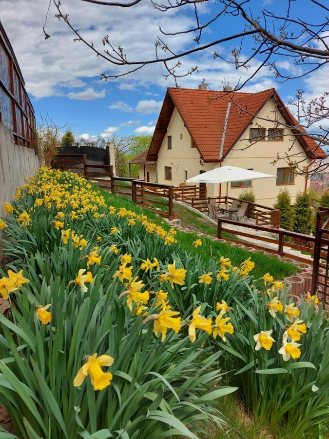 Apartament Matei Брашов Экстерьер фото