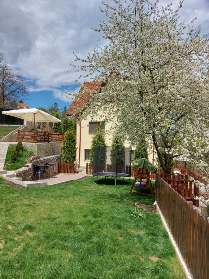 Apartament Matei Брашов Экстерьер фото